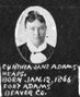 Cynthia Jane Adams